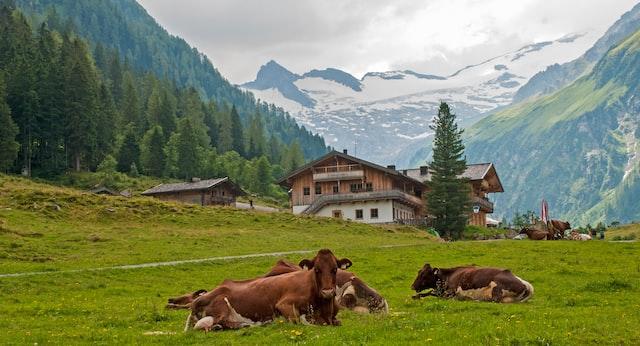 THB Hotels Gutschein | im Herbst verreisen
