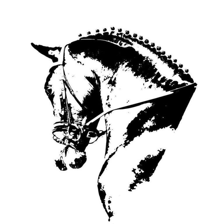  zum reitsport-manski.de                 Onlineshop