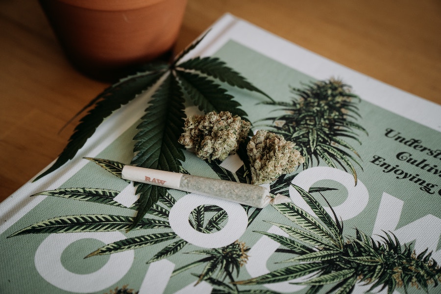 Cannabis-Legalisierung | Cannabis-Verein | www.rabatt-coupon.com