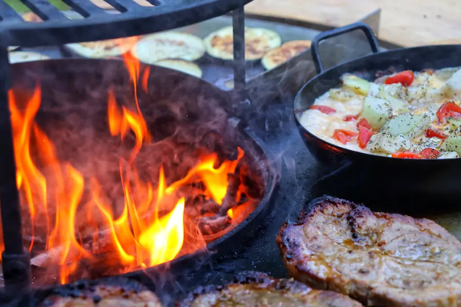 Elektrogrill oder Holzkohlegrill | www.rabatt-coupon.com