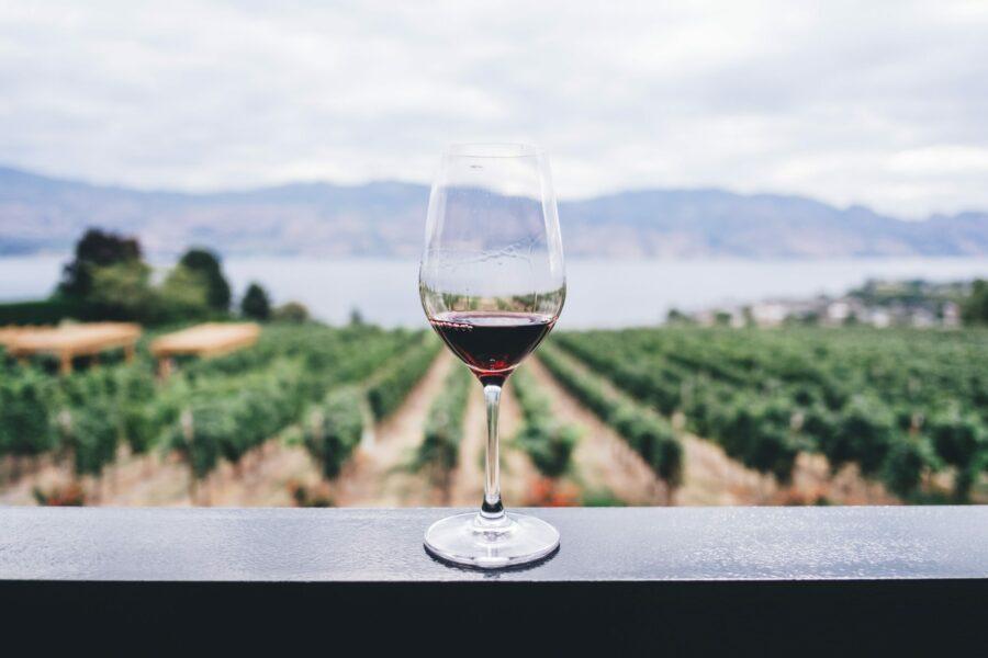 Österreichische Weine | Weine Online kaufen