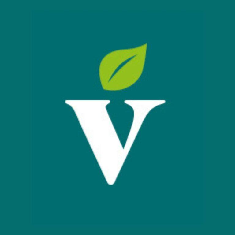 Velivery Logo