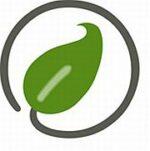 Pure Schönheit Logo