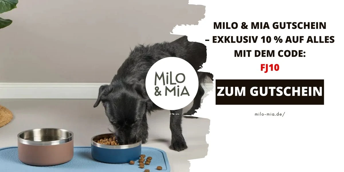 Kleiner schwarzer Hund frisst aus einem Napf – humorvolle Werbegrafik für einen Milo & Mia Gutschein mit Code FJ10.