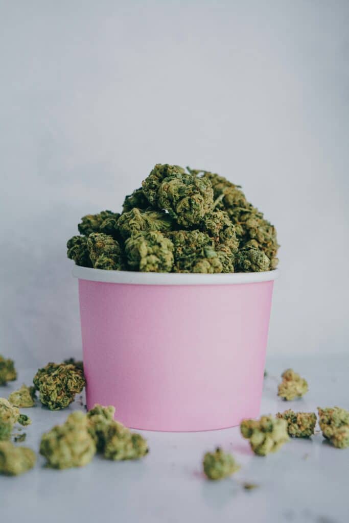 CBD Cannabis