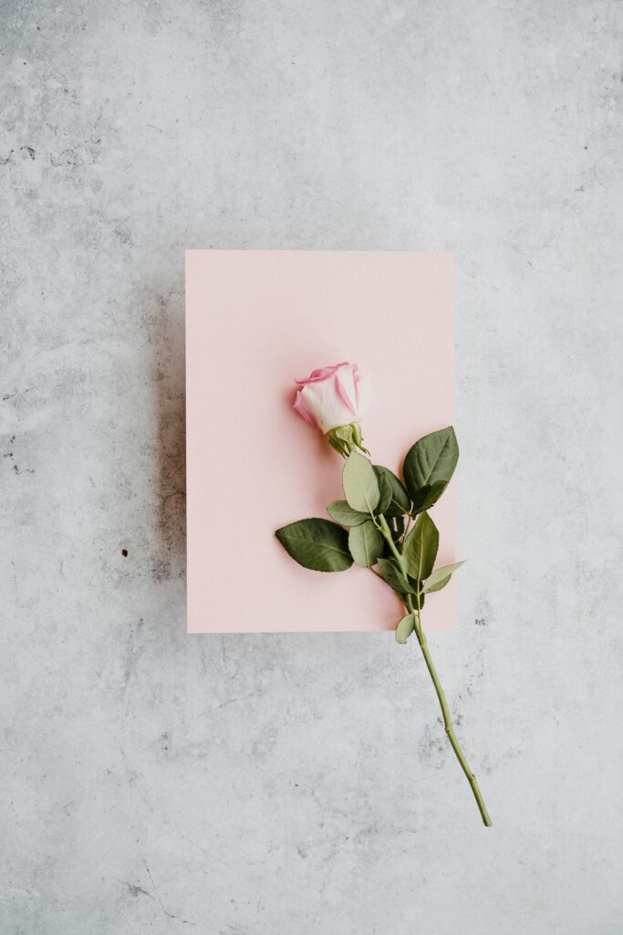 annie spratt eOgKSOJwyls unsplash | Rabatt-Coupon.com | Überall sparen mit Gutscheinen