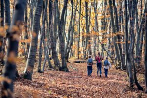 zu dritt im Wald im Herbst, zwei Kinder spazieren auf Laub