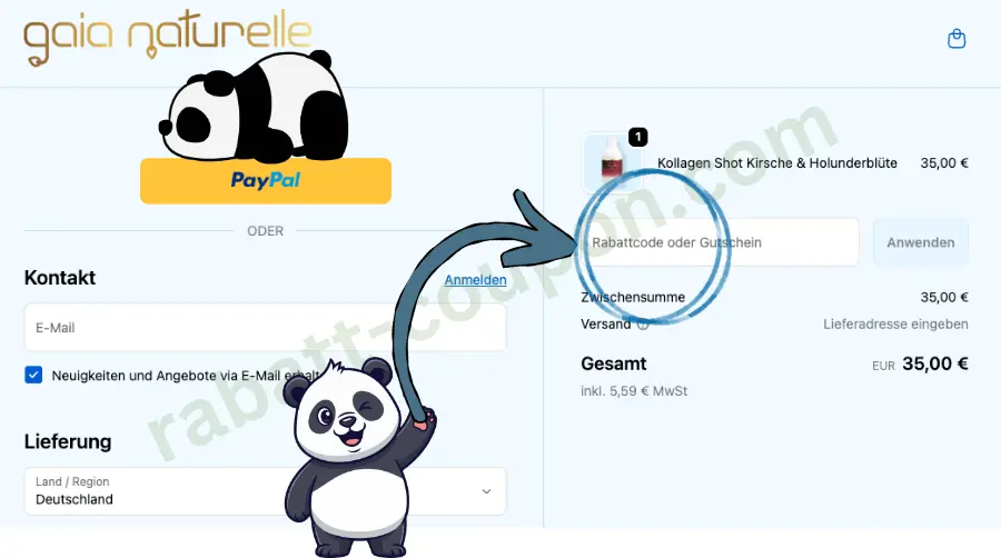 Das Bild zeigt den Warenkorb im Onlineshop von Gaia Naturelle. Rechts ist das Feld zur Eingabe eines Rabattcodes blau markiert, daneben stehen Produktname, Preis und Gesamtsumme. Zwei Panda-Grafiken und ein blauer Pfeil lenken den Blick auf das Gutscheinfeld.