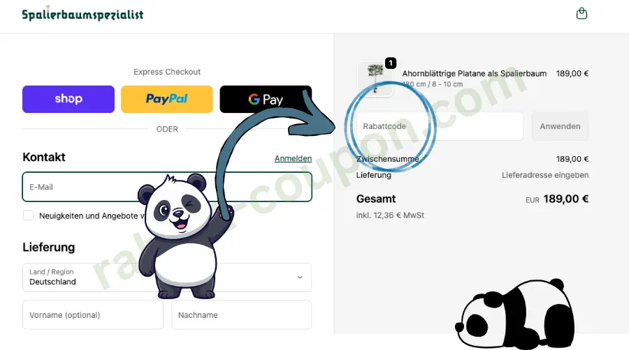 Das Bild zeigt den Warenkorb im Shop „Spalierbaumspezialist“ mit Express-Checkout über Shop Pay, PayPal und Google Pay. Rechts ist ein Feld für den Rabattcode markiert, daneben steht die Gesamtsumme von 189,00 €. Ein Panda mit Pfeil weist auf das Rabattcode-Feld, unten rechts liegt ein weiterer Panda als Deko.