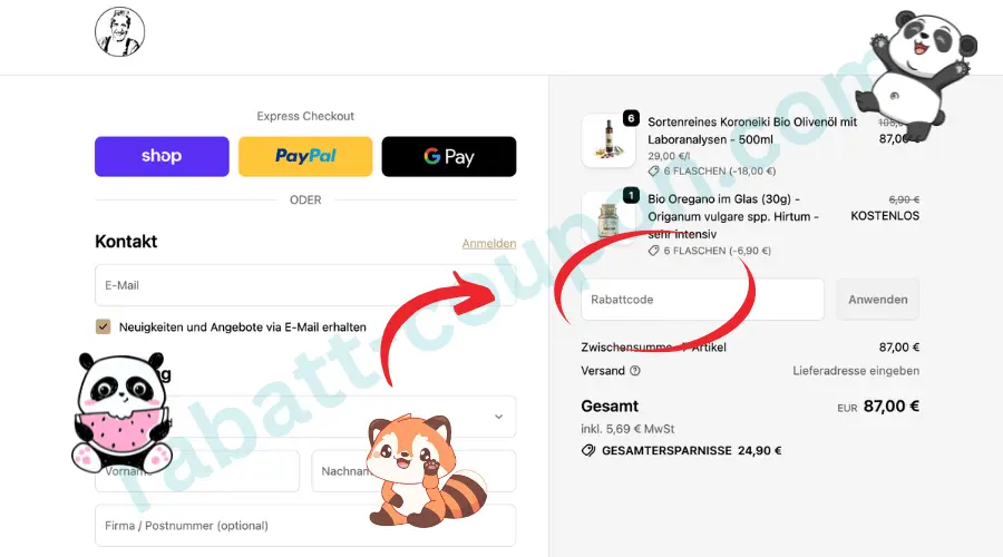 Das Bild zeigt den Checkout-Bereich des Online-Shops Aimilios Organics mit Express-Checkout-Optionen wie Shop Pay, PayPal und Google Pay. Rechts befindet sich die Bestellübersicht mit den ausgewählten Bio-Produkten, Zwischensumme, Versand, Gesamtbetrag sowie einem Feld zur Eingabe eines Rabattcodes. Ein roter Pfeil und eine Markierung heben das Rabattfeld deutlich hervor und zeigen, wo ein Rabatt im Bestellprozess eingetragen werden kann.