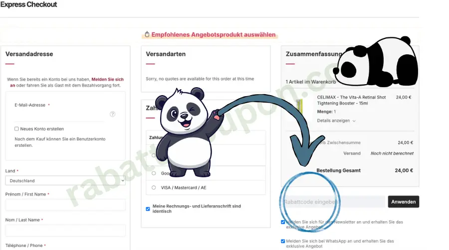 Das Bild zeigt eine Online-Kassenansicht mit Versandadresse, Zahlungsarten und einer Bestellzusammenfassung auf der rechten Seite. Ein Pfeil und eine Panda-Figur markieren das Eingabefeld für einen Rabatt- oder Gutscheincode in der Zusammenfassung. Rechts wird ein einzelner Artikel mit Preis und Gesamtsumme von 24,00 € angezeigt.