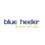 Blue Heeler